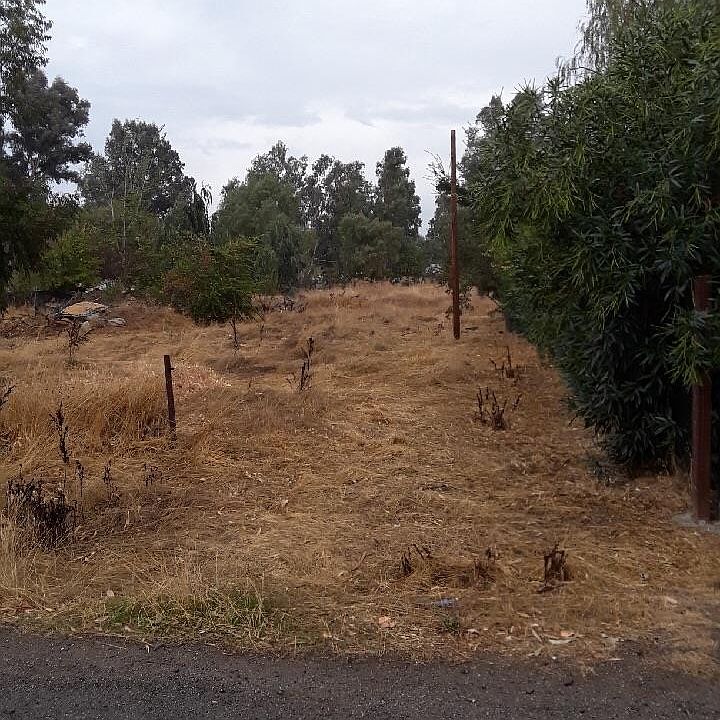 1st image of 3165 County Road 88a
