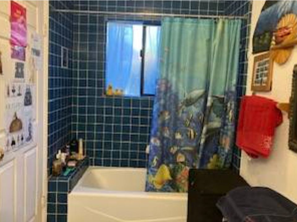 Shower & Full Bathtub