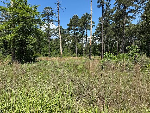 4th image of LOT 11 Private Road 6028