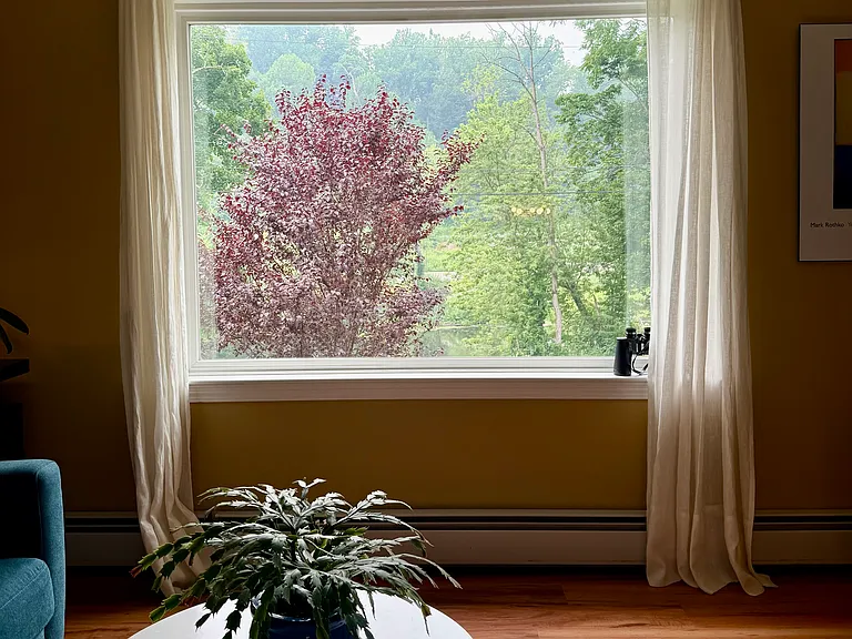 40 Simmons Ln — Photo 16