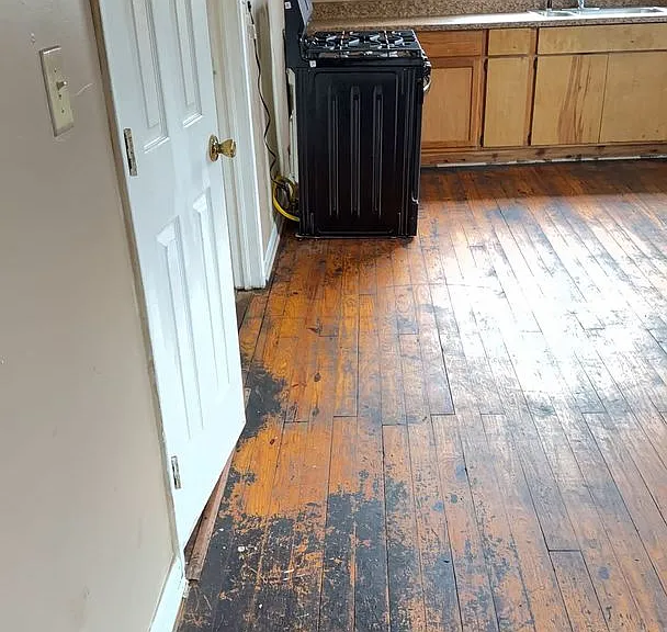 593 Perdue Pl — Photo 10