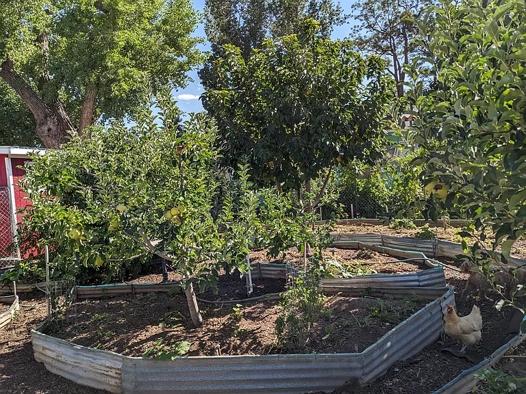 Herb, fruits and veggie and abundant flower gardens.