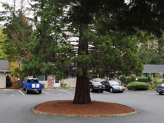 Plenty of Parking
