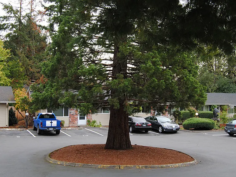 Plenty of Parking