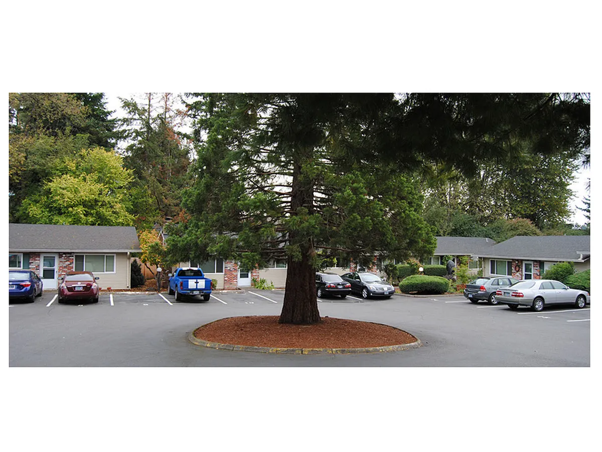 Plenty of Parking - Monroe Square