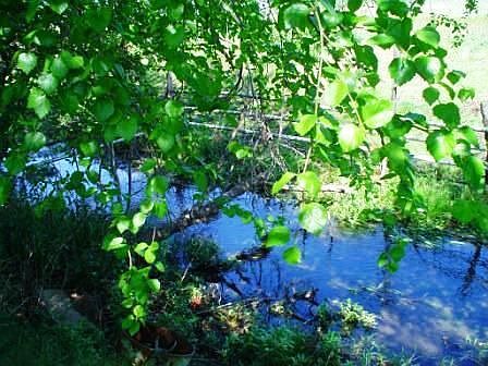 Year around Creek