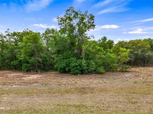 County Road 455, Montverde, FL 34756