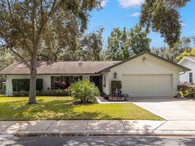 214 Woodland Ct, Safety Harbor, FL, 34695