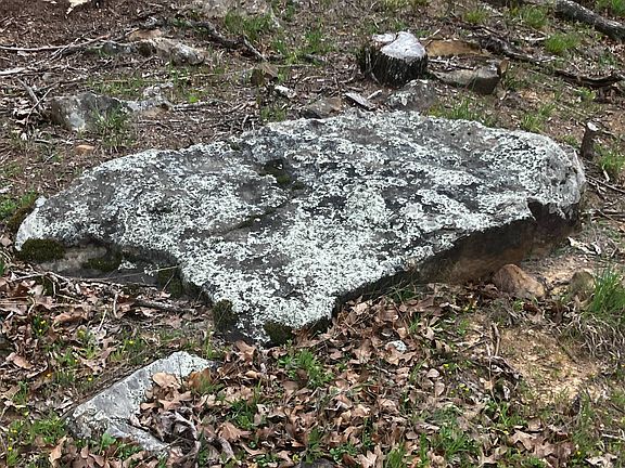 4th image of Alicia Ln