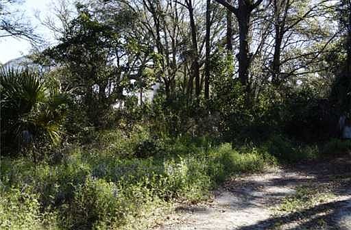 2nd image of Solomon Ave