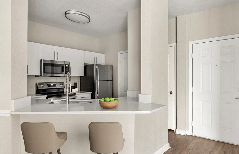 Premium Upgraded Apartment