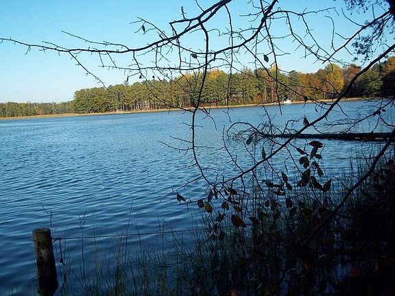 There is 215' of shoreline.
