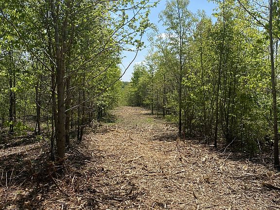5th image of 79 Overlook Ln