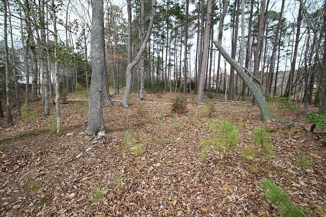 2nd image of 113 Aimee Ct