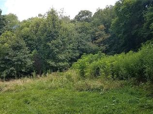 1010 Sorrells Cove Rd, Clyde, NC 28721