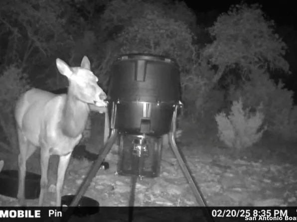 TBD SD31500, Rocksprings, TX 78880