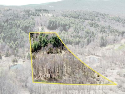 0 Charles Dent, Grand Gorge, NY, 12434