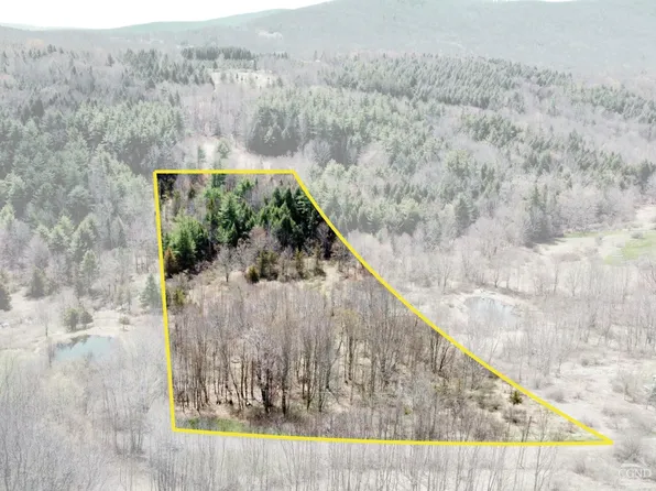 0 Charles Dent, Roxbury, NY 12434