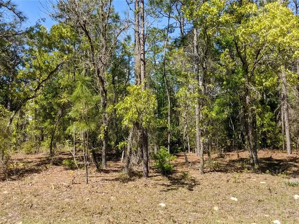 0 SW 97th Pl, Dunnellon, FL 34432