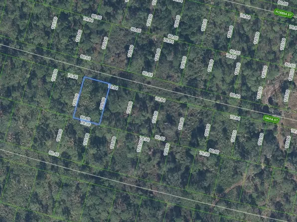 8705 Pavia St Lot 19, Sebring, FL 33872