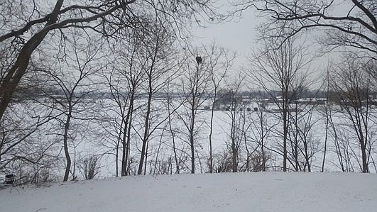 2nd image of 47712 W Huron River Dr