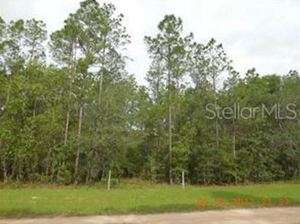 0 SE 113th Ave, Morriston, FL 32668