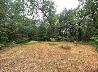 V/l 195a N Raymond Rd, Holton, MI 49425