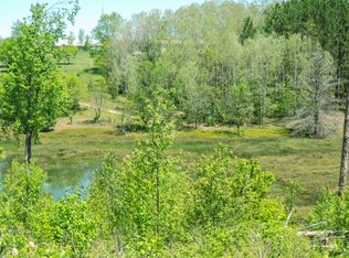 13162 Shire Road 11 Acres, Wolverine, MI 49799