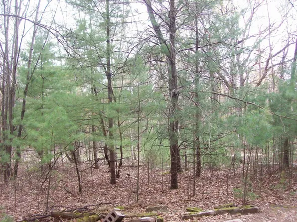 Lot 3 Meiller Road Lot 3, Montello, WI 53949