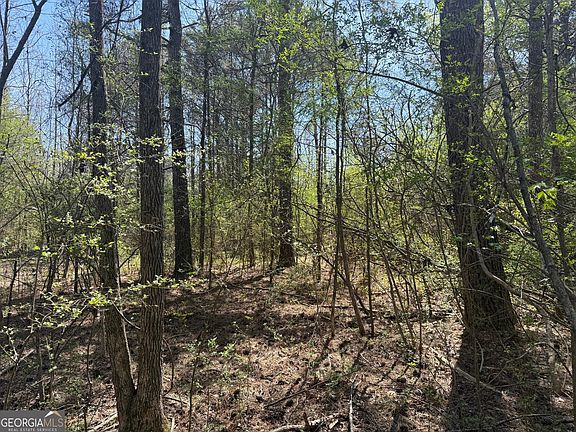 2nd image of 78 Mullinax Rd
