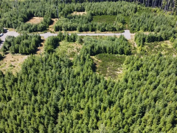 9999 King Johns-Lot 2 Crow SP Way, Forks, WA 98331