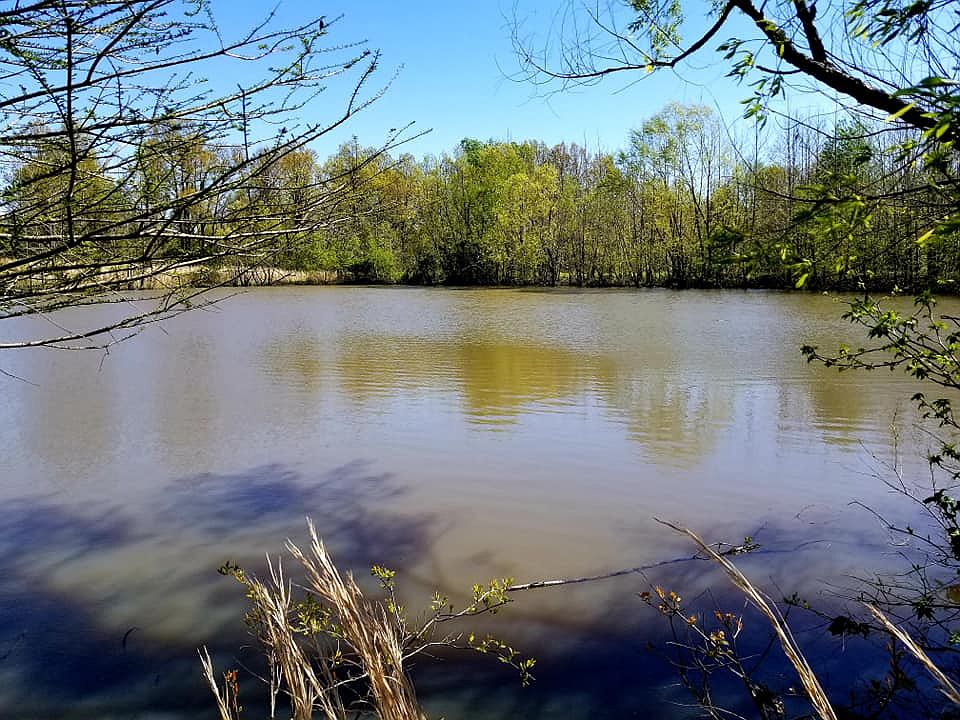 2nd image of 3867 County Road 450