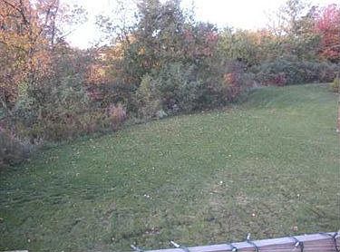 3rd image of 5030 Lea Dr