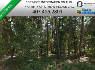 3240 Carter Jones Rd, Groveland, FL 34736