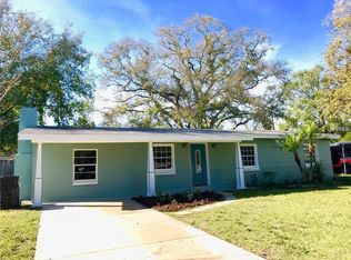 14816 Daisy Ln, Tampa, FL 33613