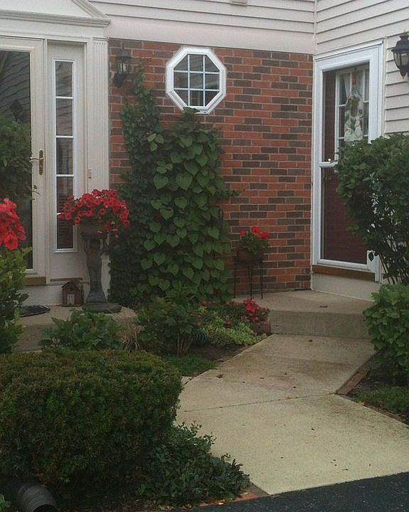 Front entrance; right door