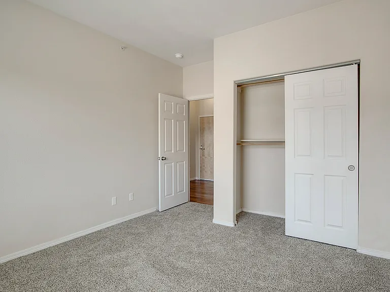 216 West Bedroom Closet