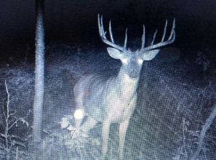 W12074 Rusk Rd, Hawkins, WI 54530