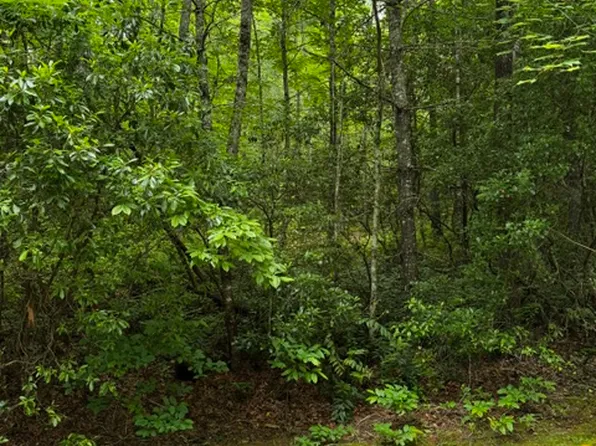 47B Big Pine Road, Sapphire, NC 28774