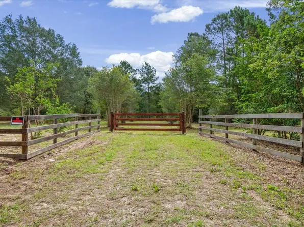 LOT 1 County Road 302, Plantersville, TX 77363