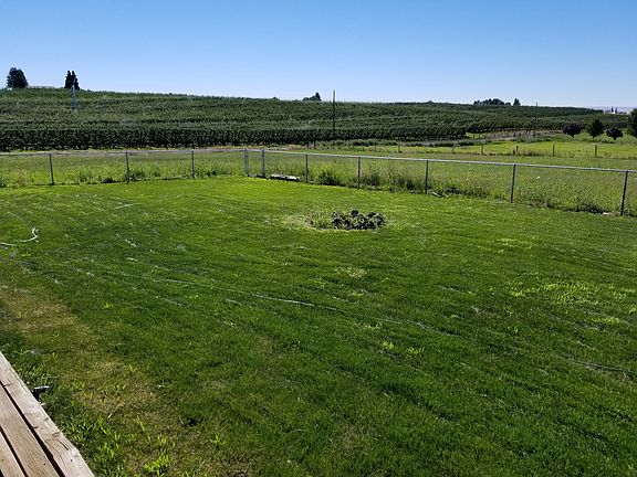 Backyard and pasture