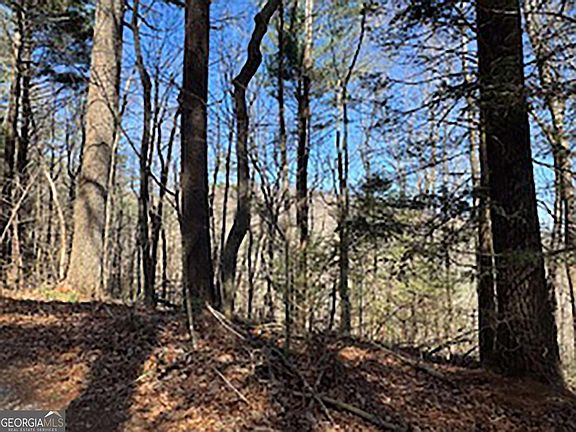 4th image of 14 Butler Creek Rd