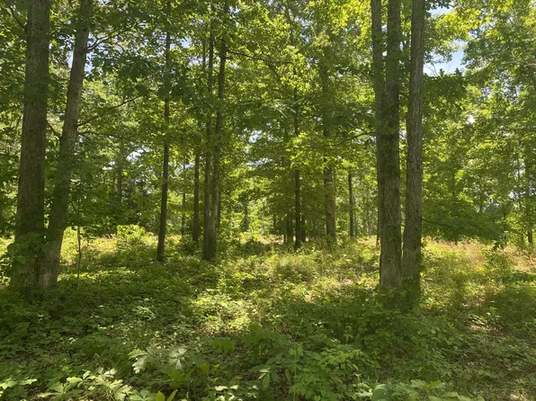 845 Ridgewood Dr, Mc Ewen, TN 37101