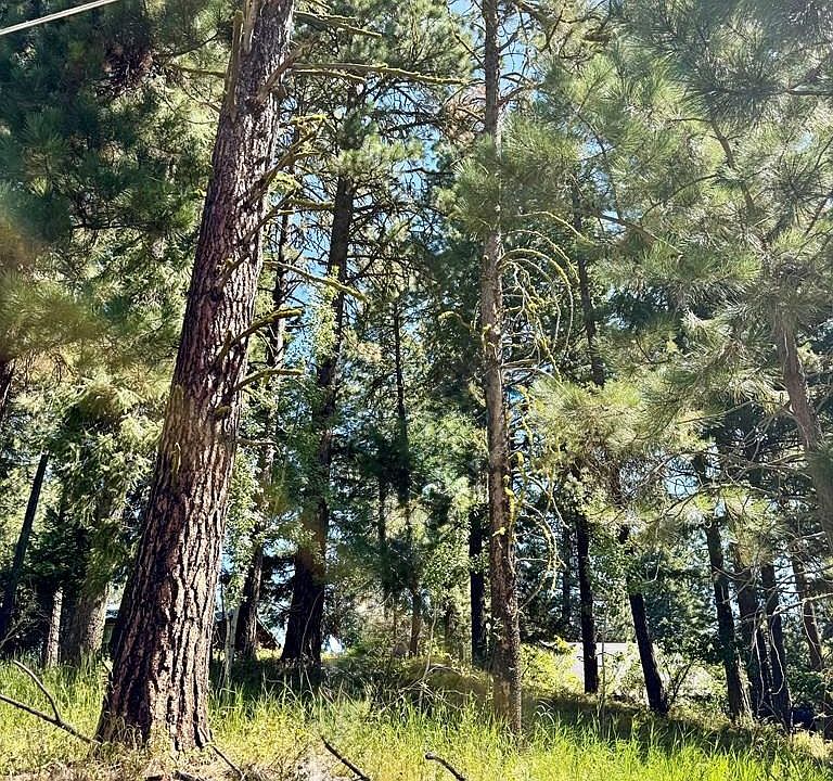2nd image of 697 N Samson Trl