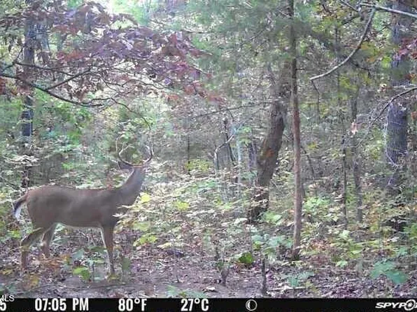 9815 Scrivner Rd, Russellville, MO 65074