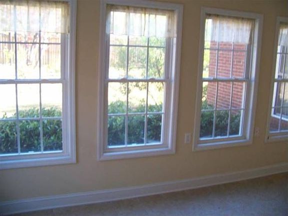 Natural Light in Sunroom