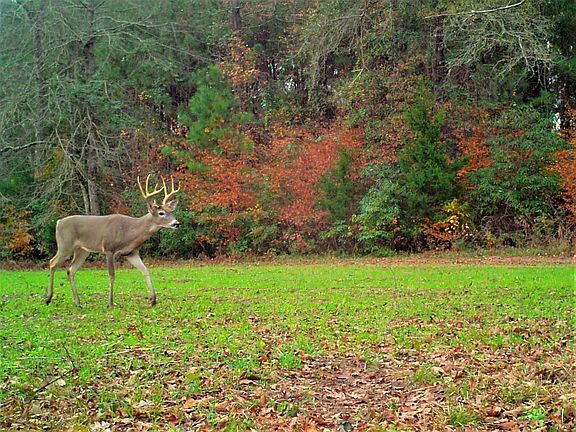 4th image of County Road 4449