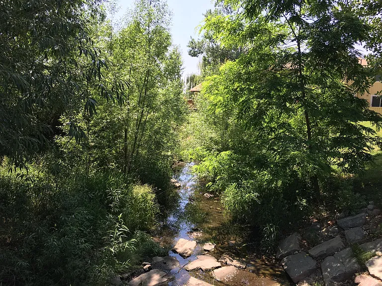 Creek behind property.