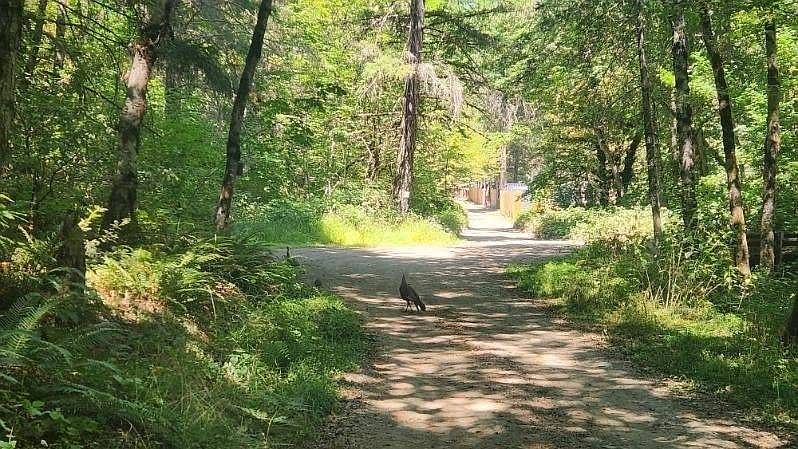 1st image of 8155 Graves Creek Rd