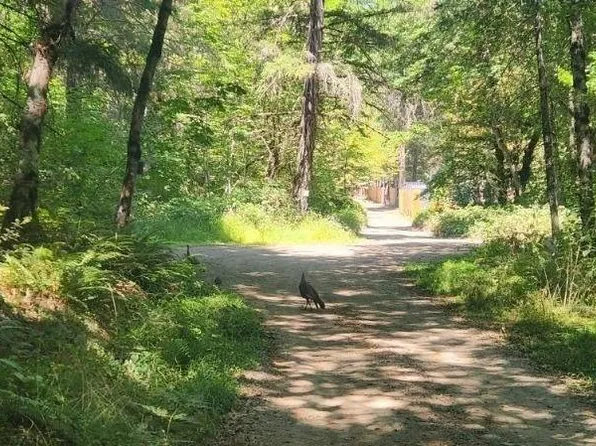 8155 Graves Creek Rd, Wolf Creek, OR 97497